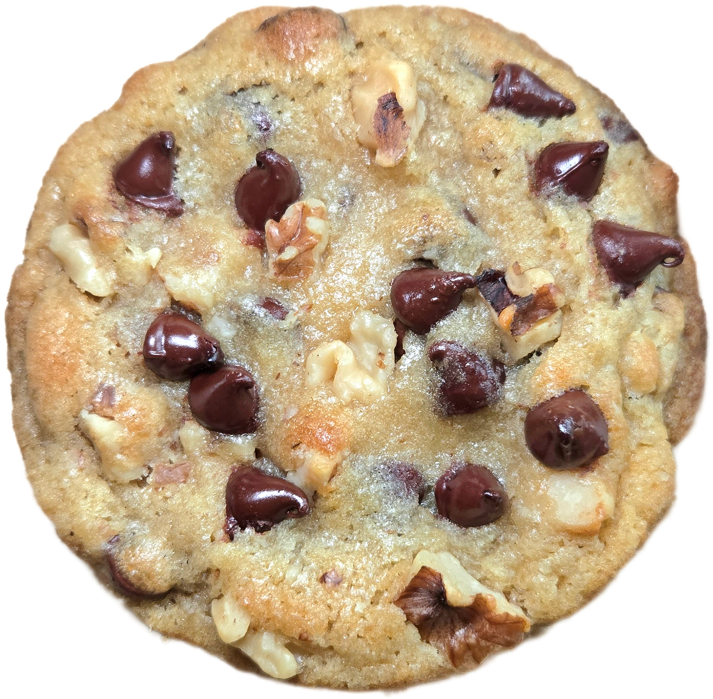 Walnut Choco Chip